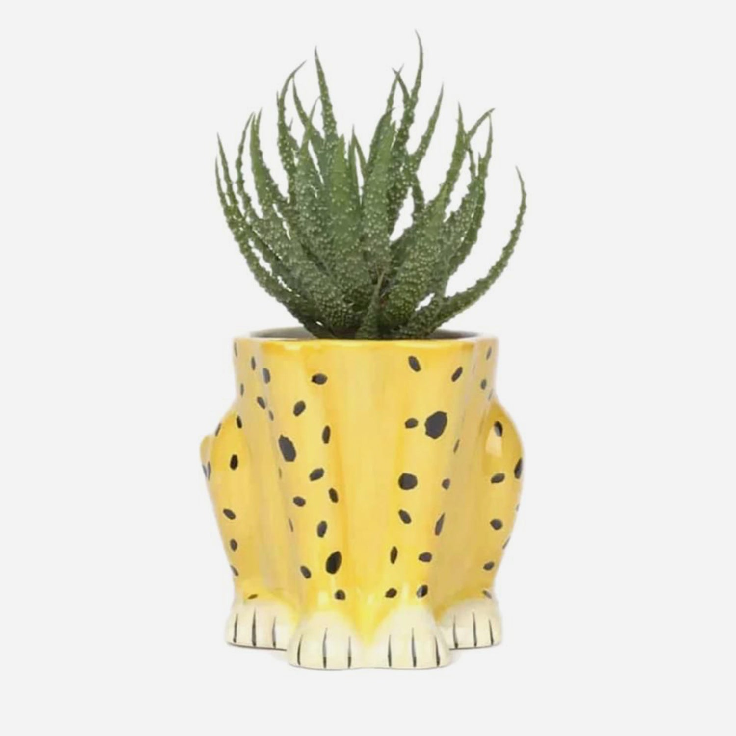 cheetah plant pot Cheetah Ceramic Planter